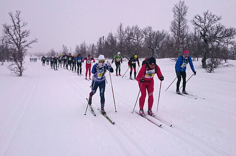Håvard Hansens sjuende og tøffeste Troll Ski-seier Olav_Brunstad_120km.jpg