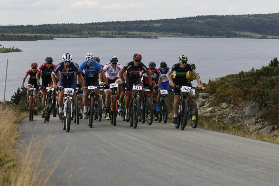 Tetgruppa ved Ytre Reina etter 14 km i 2018 (Foto: Rolf Bakken) Tetgruppa ved Ytre Reina etter 14 km i 2018 (Foto: Rolf Bakken)
