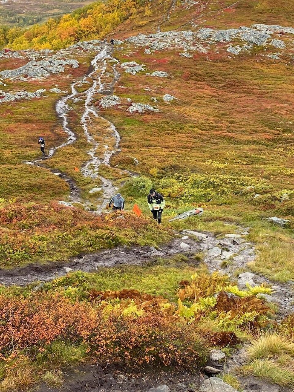Eldrup i egen klasse under Harstad Summits Trail Marathon Oversikt.jpg