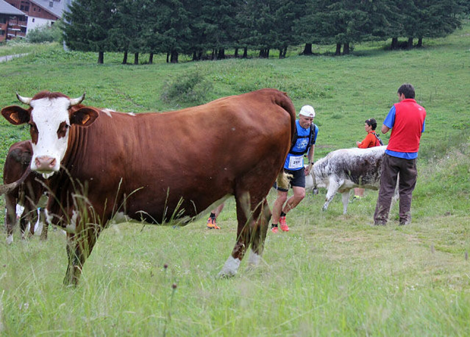Nok en Kilian Jornet-oppvisning
