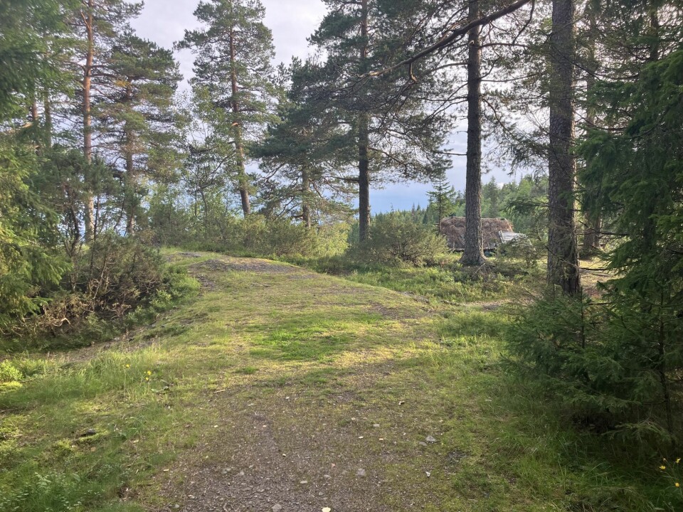 Ny løype i Lommedalen Opp onsdag 13.09 Mål.jpg