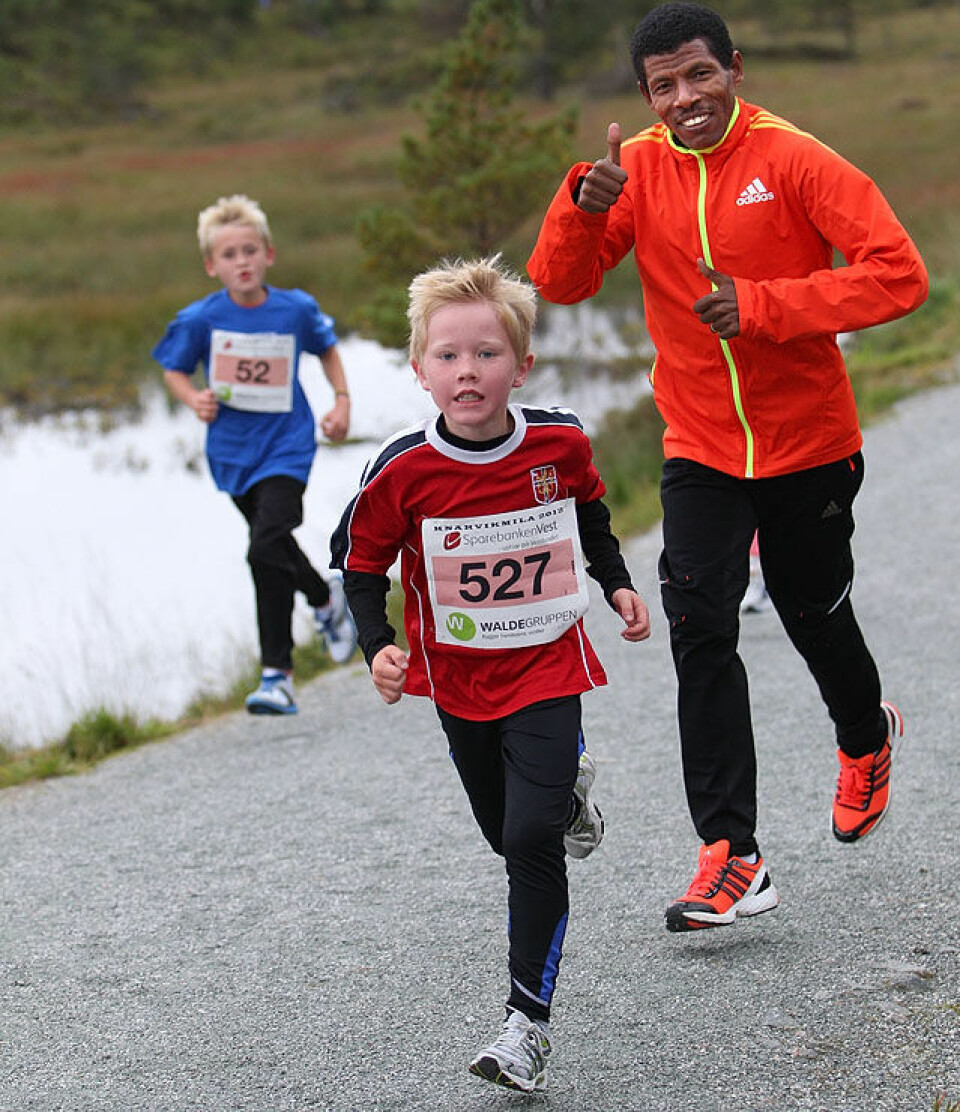 Fargerik minimil i Knarvik