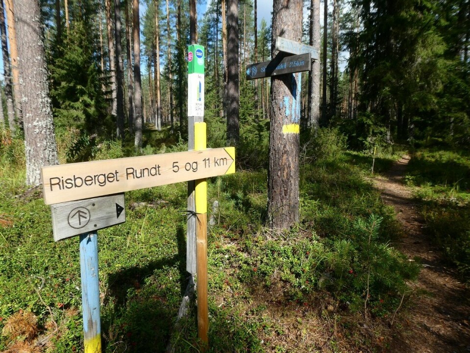 Risberget Rundt av godt gammelt merke lørdag 9. juli Løypeskilt.jpg
