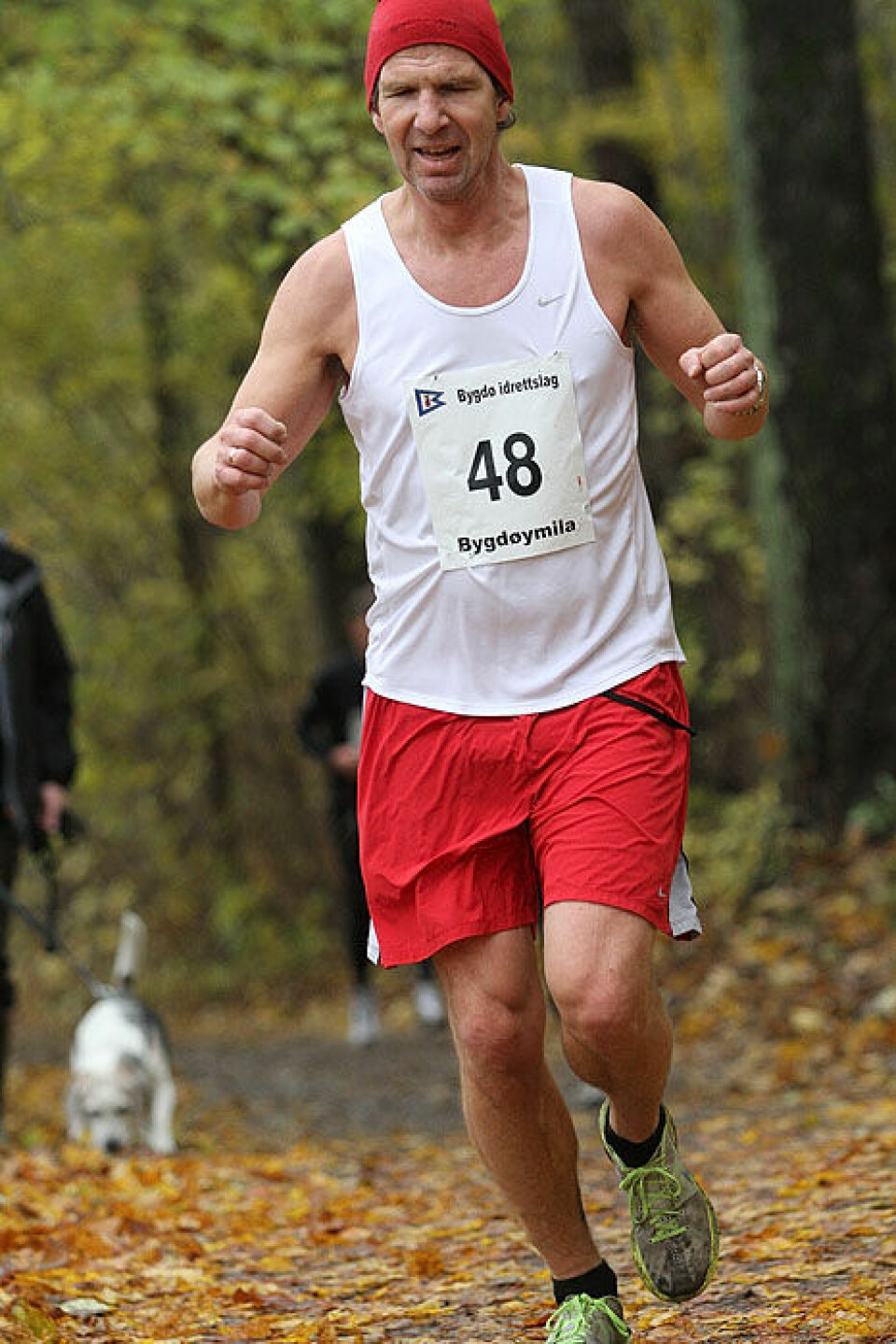 Bygdøymila i høstfarger