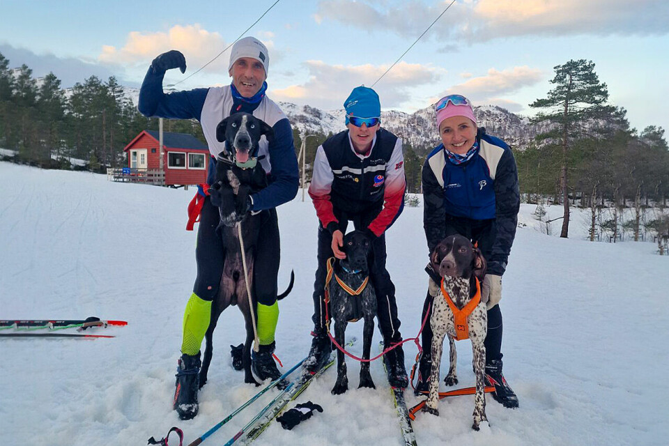 Klas Færøvik, Julian Vinkler-Hansen, Beate Vinkler Rasmussen og deres tre hunder er klare for å delta i NM i hundekjøring. Hundene heter Chillie Pepper, Grolf og Ask. (Foto: Veronica Lindtner). Klas Færøvik, Julian Vinkler-hansen, Beate Vinkler Rasmussen