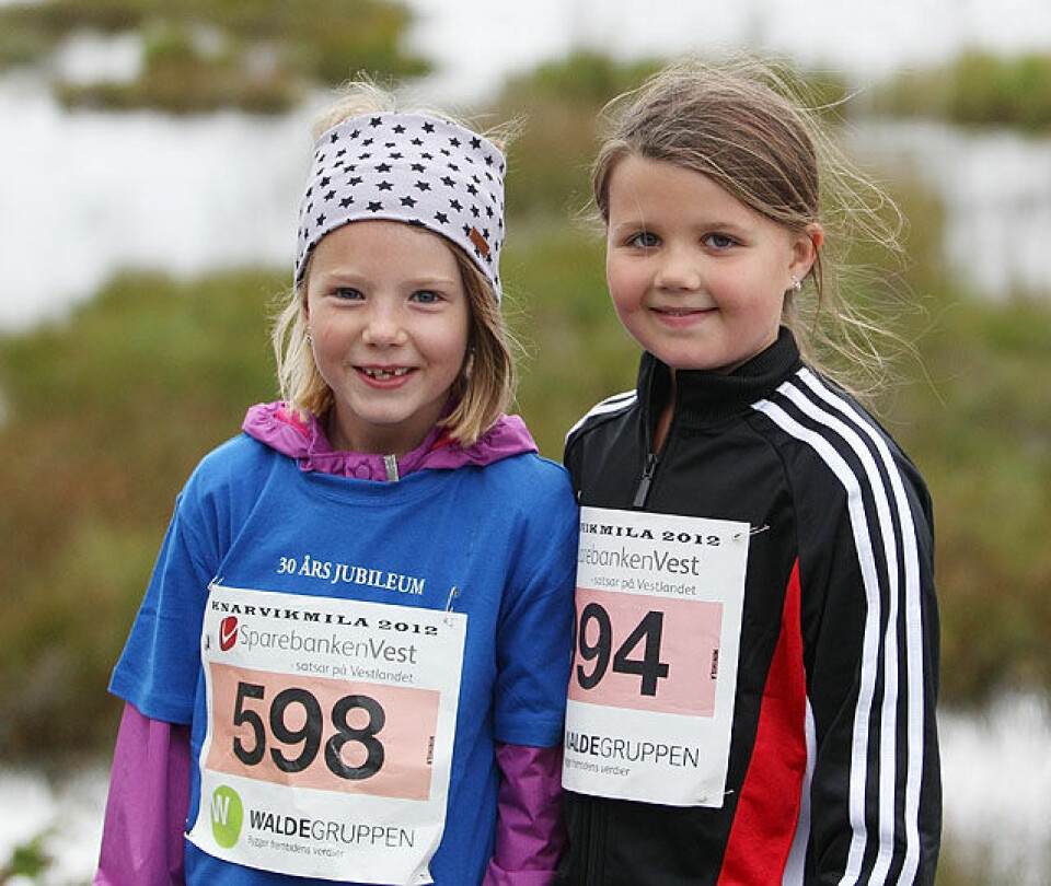 Fargerik minimil i Knarvik