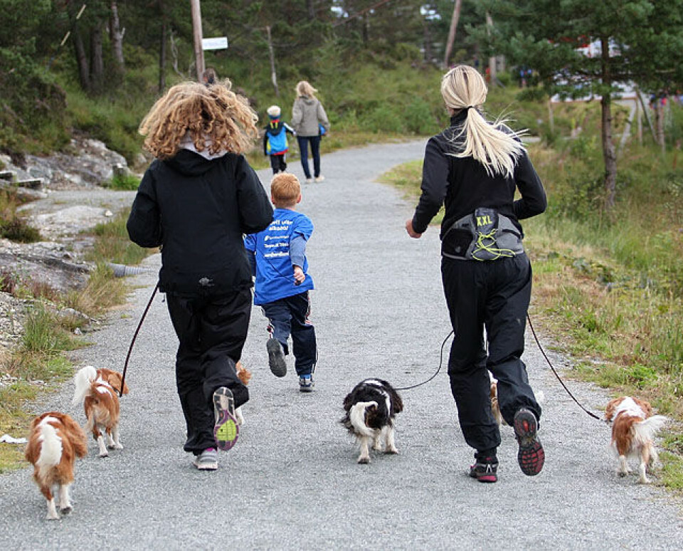 Fargerik minimil i Knarvik
