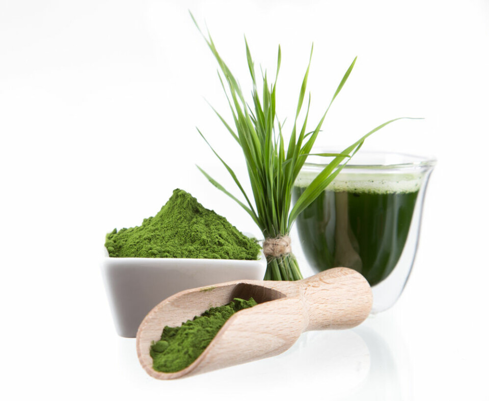 5 grunner til å elske Spirulina 2spirulina