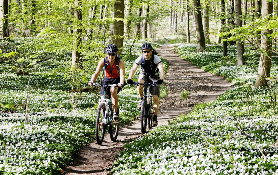 Ut i det fri: Vår og utendørs sykkeltrening hører for mange sammen. (Foto: iStockphoto) Ut i det fri: Vår og utendørs sykkeltrening hører for mange sammen. (Foto: iStockphoto)