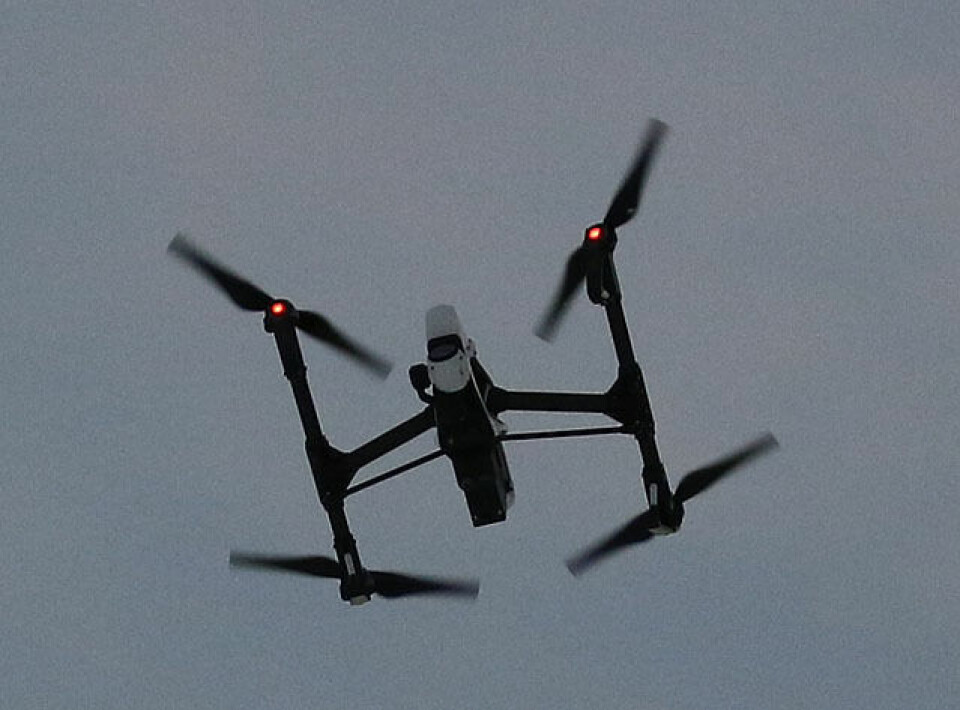 Østmarksrunden åpnet turrennsesongen i Oslo Dronen_IMG_2362.jpg