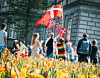 Det beste København Marathon? Det var vårblomster, sommervarme og stor stemning i København søndag. Foto: arrangøren