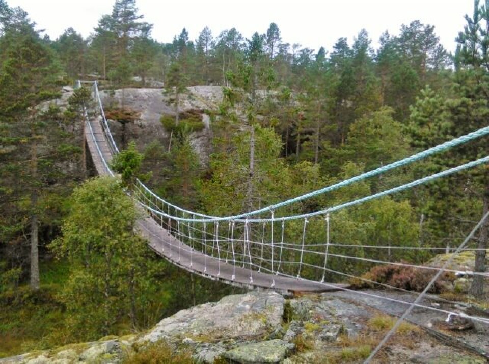 TT 3. september blir generalprøve på neste års NM i terrengultra Hengebru_Heimdalsheia (640x476).jpg