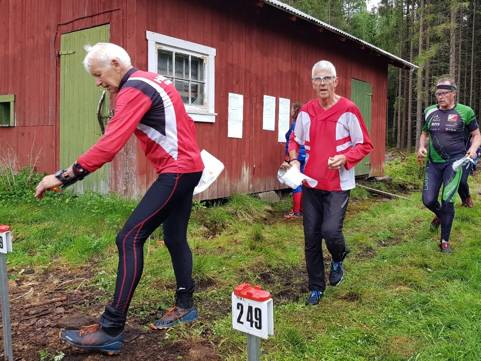 Bedrifts-o-løp fra Hjemlikoia i Løten K¢ mot målspemling.jpg
