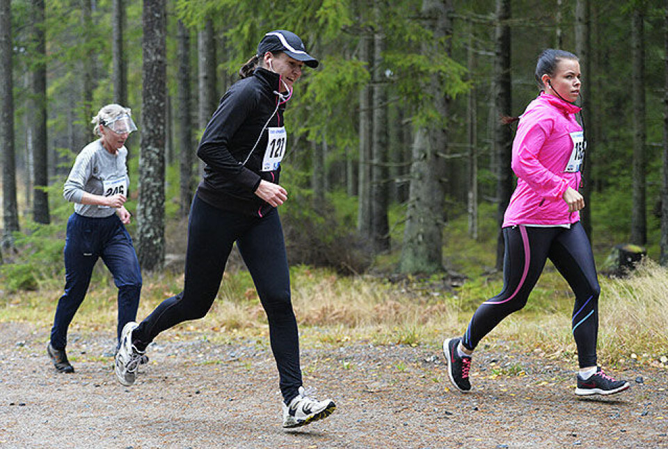 Ørsjødilten i 2013 Foto:Bjørn Johannessen Ørsjødilten i 2013 Foto:Bjørn Johannessen