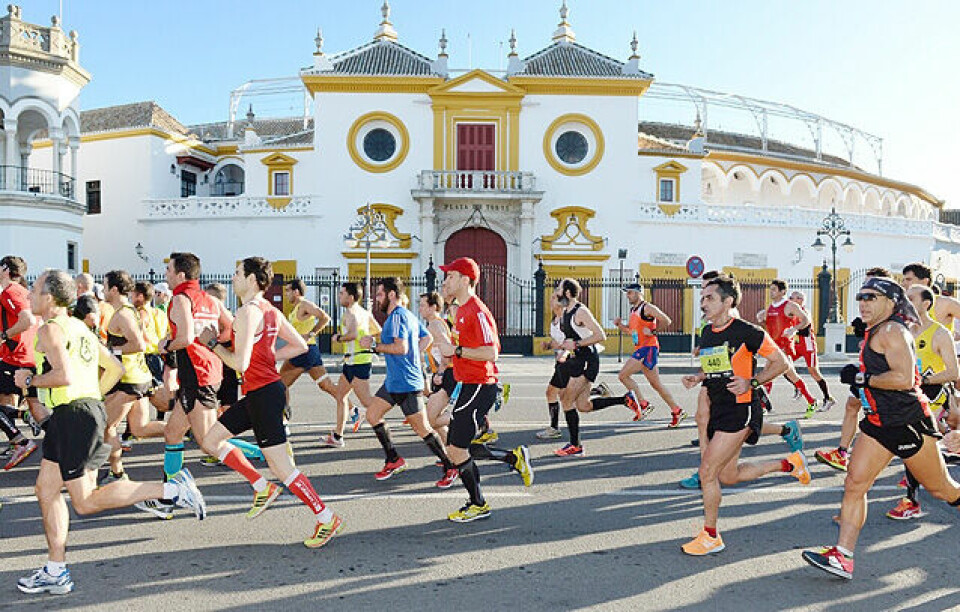 14. plass til Ann Kristin Mosbron i Sevilla Marathon Tyrefekting_best
