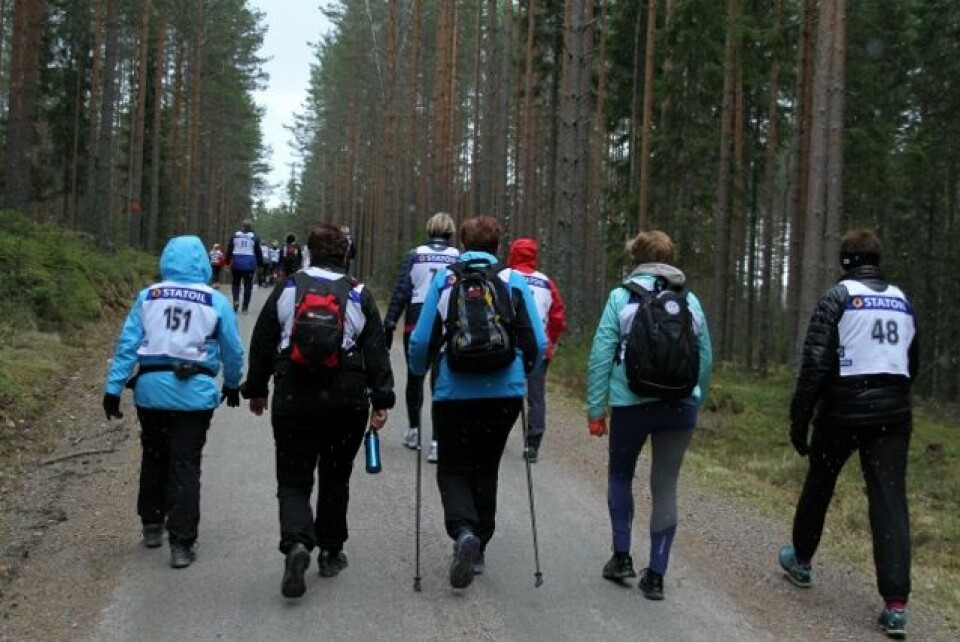 Finsrudmarsjen med mange sterke løpere IMG_7034_OE_gjennom_skogen.jpg
