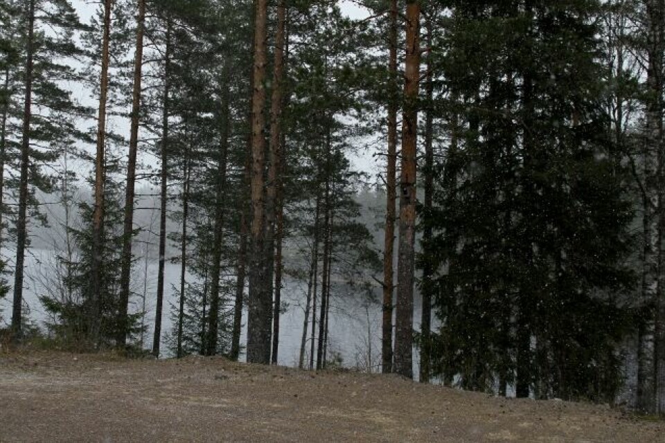 Finsrudmarsjen med mange sterke løpere IMG_7102_OE_så_kom_snøen.jpg