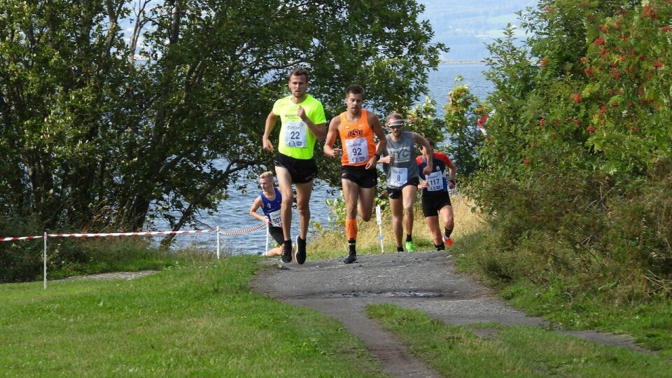 Sol over Tour of Mjøsa på Hamar Teten