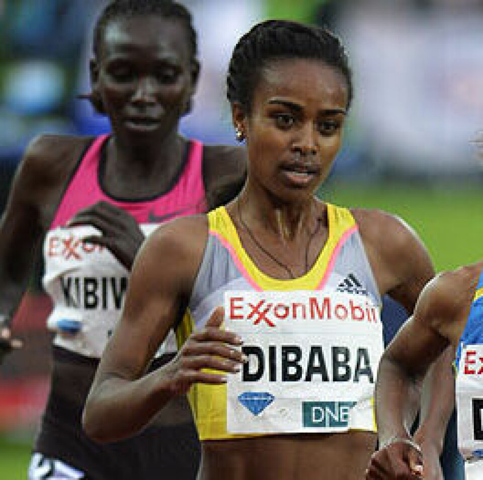 Bjorn Johannessen Bjorn Johannessen