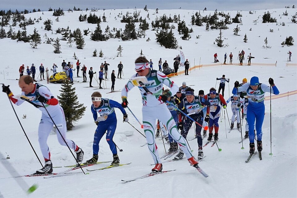 H21 ut fra start med gullvinner Lars Hol Moholdt til venstre uten lue. (Foto: Stein Arne Negård) H21 ut fra start med gullvinner Lars Hol Moholdt til venstre uten lue. (Foto: Stein Arne Negård)