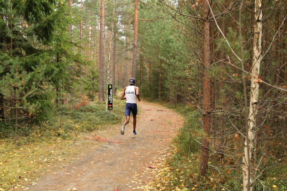 Runa og Okubamichael vant rekordstort Furumomila IMG_4130_8km_røt_røtter (1280x853).jpg