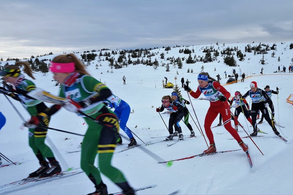 Lars Hol Moholdt med sitt 10. NM-gull på rad Langdistanse_D21_utfra_start.jpg