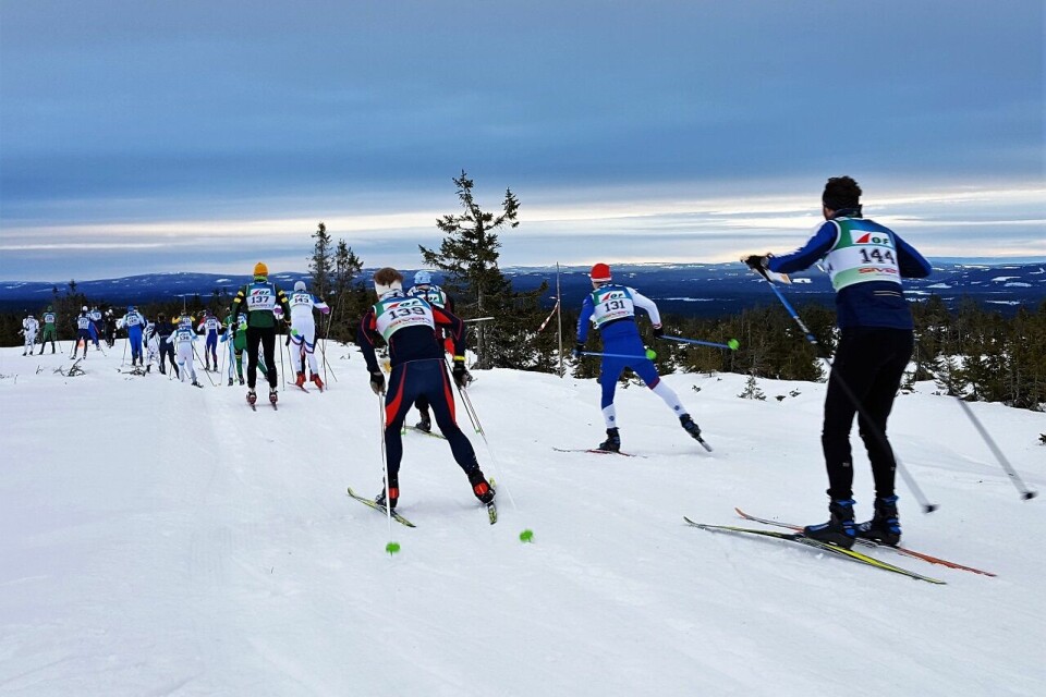 Lars Hol Moholdt med sitt 10. NM-gull på rad Langdistanse_lang_rekke_H21.jpg