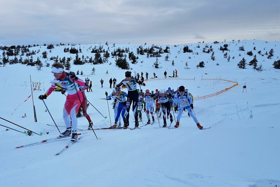 Lars Hol Moholdt med sitt 10. NM-gull på rad Langdistanse_H17-20_start.jpg