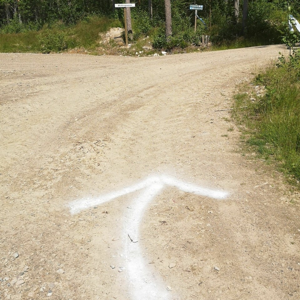 Gleden av å løpeglede andre