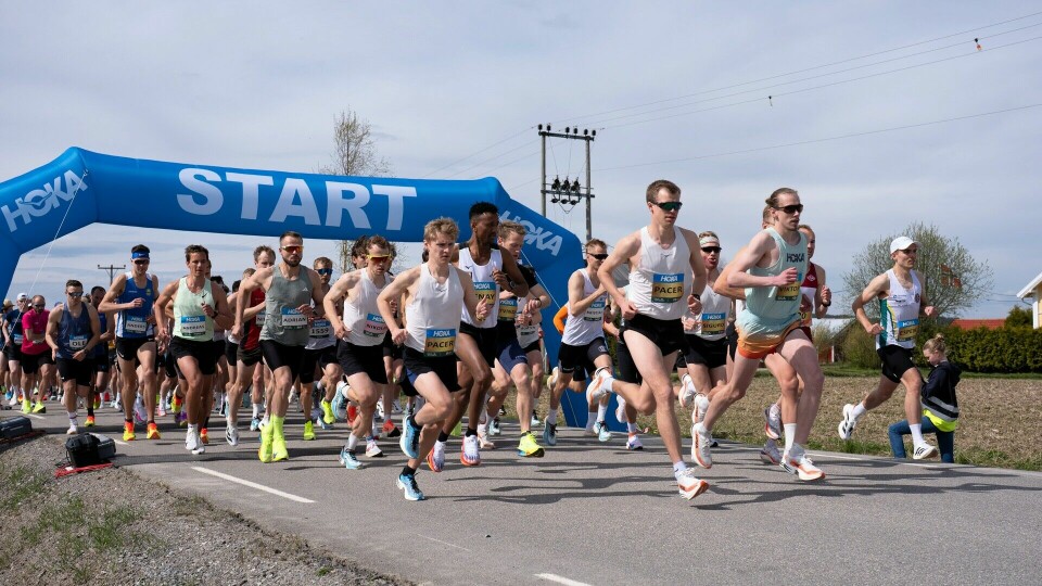 Fra starten for halvmaraton med pacerne Petter Johansen og Sigurd Ruud Skjeseth som frontkjempere i vinden med Senay Fissehatsion i mellom seg. (Foto: Samuel Hafsahl) Fra starten for halvmaraton med pacerne Petter Johansen og Sigurd Ruud Skjeseth som frontkjempere i vinden med Senay Fissehatsion i mellom seg. (Foto: Samuel Hafsahl)