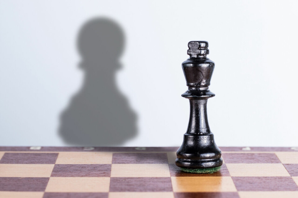 Bonde eller offiser? (Foto: iStock/Igor Nikushin) Bonde eller offiser? (Foto: iStock/Igor Nikushin)