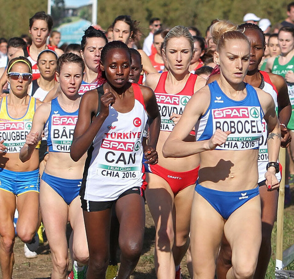 EM terrengløp: Bronse til Karoline B. Grøvdal da hun var beste europeer Etter500m_de_fire_beste_i_tet_A20G6108.jpg