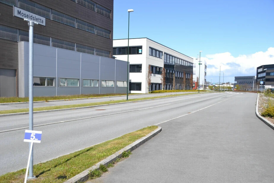 Ingebrigtsen-guttas rekordforsøk på 5 km sendes på nrk.no i kveld