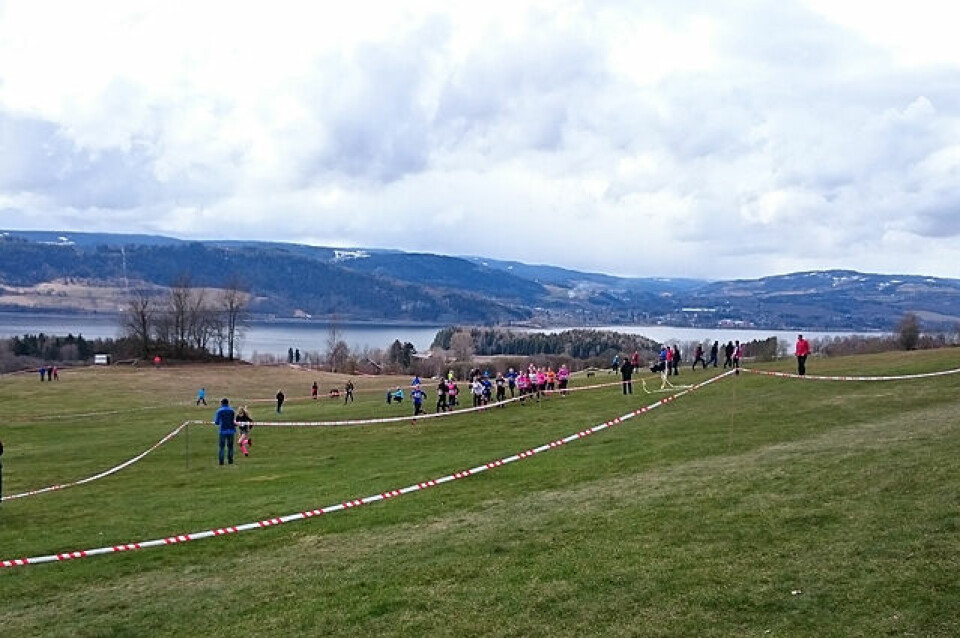 Gjøvik FIK best i felles terreng-KM for Hedmark og Oppland Utsikt_Mjoesen_Golf.jpg