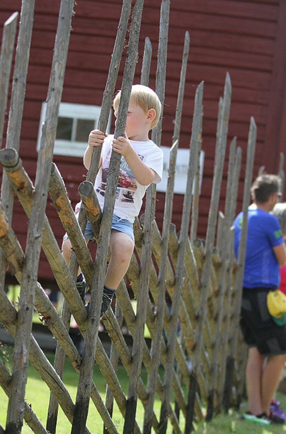 Unionsmaraton med hett jubileum på Kurøen (52 bilder) VIP_paa_Skigard_1_IMG_6126 (3).jpg