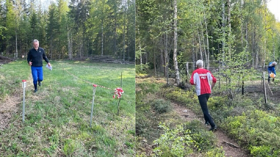 Bedrifts o-løp med gjenbruk av Pinseløpsposter Ingress