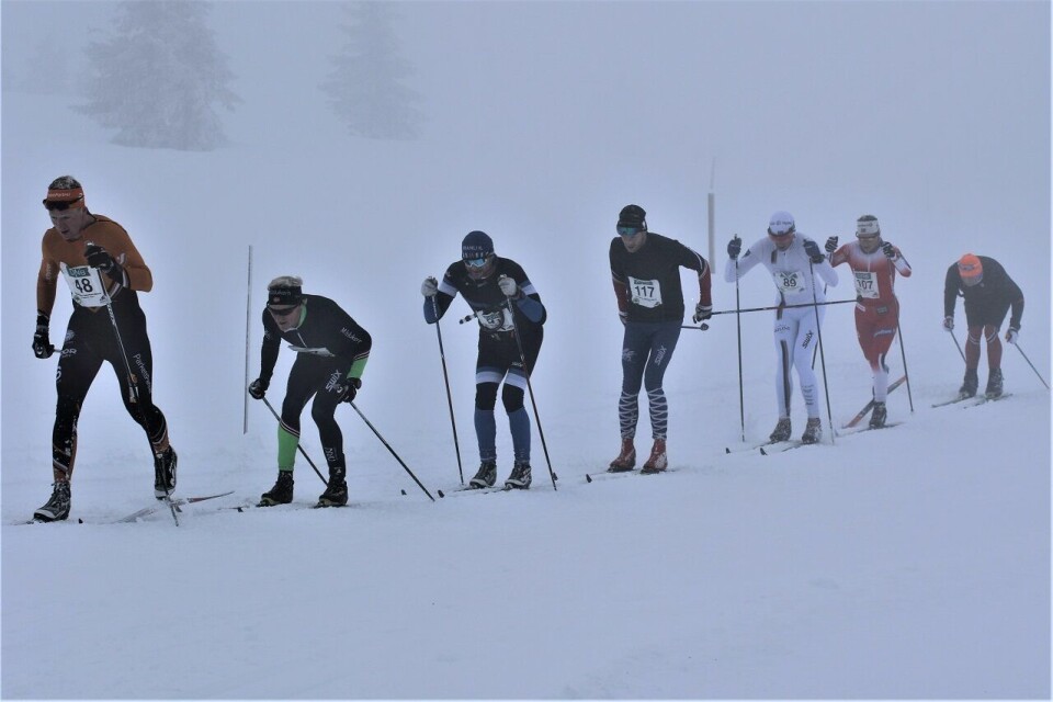 Lotta Udnes Weng (nr. to fra h.) sammen med seks mannlige løpere på en lang, lang rekke like ved Storåsen etter 25 km. (Foto: Kjell Arild Andersen) Lotta Udnes Weng (nr. to fra h.) sammen med seks mannlige løpere på en lang, lang rekke like ved Storåsen etter 25 km. (Foto: Kjell Arild Andersen)