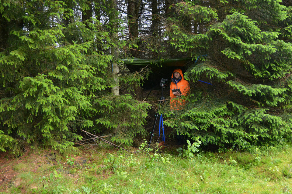 Romsdal 5-10-halv med gråvær og personlige rekorder DSC_0191.JPG