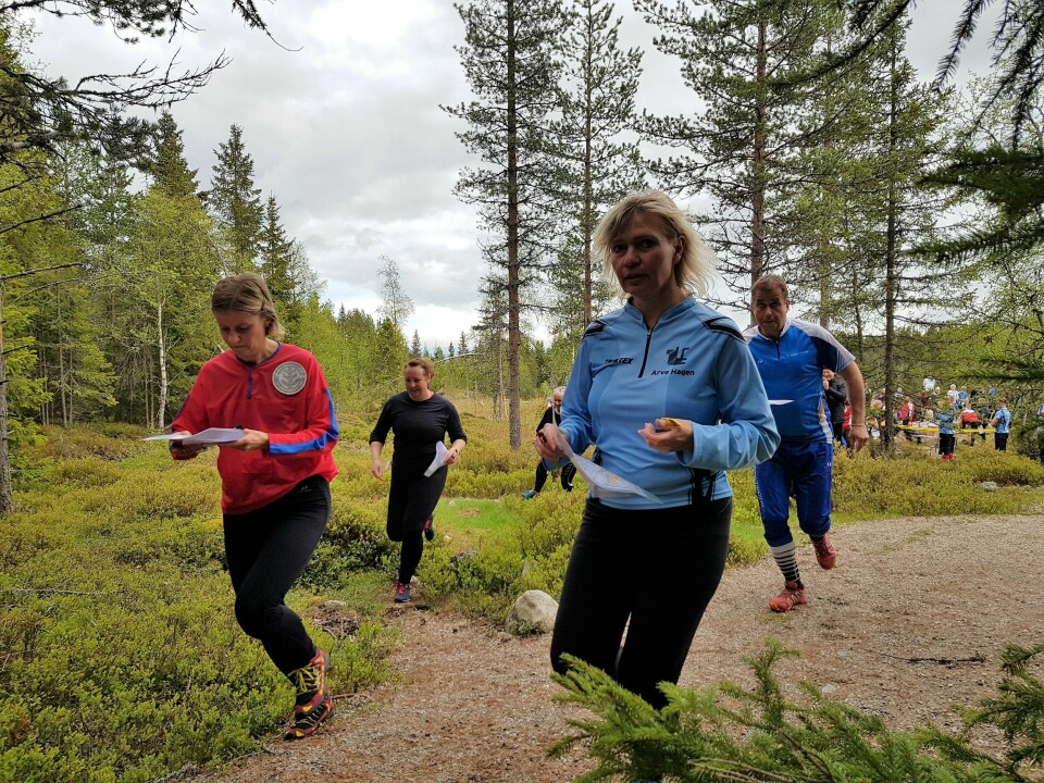 Bedrift o-løp med parstafett i Vangsåsen Ut fra start.jpg