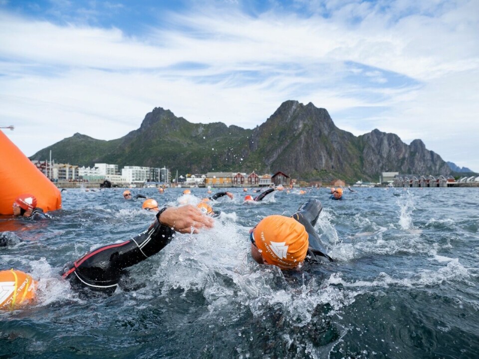 Fra den innledende svømmingen i Svolvær Havn.(Foto: Kristin Folsland Olsen) Fra den innledende svømmingen i Svolvær Havn.(Foto: Kristin Folsland Olsen)