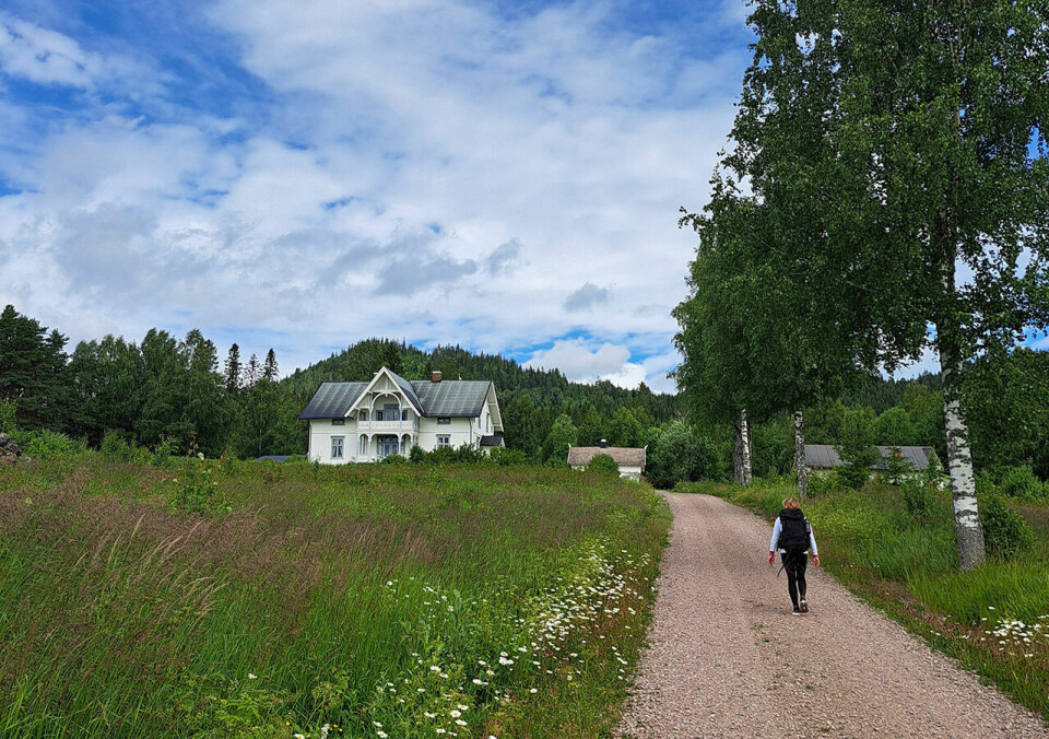 Artikkelforfatter Else Husa passerer Nedre Juvberget går på sin vandring langs Finnskogleden. (Foto: Tiny Berger Terpstra) Artikkelforfatter Else Husa passerer Nedre Juvberget går på sin vandring langs Finnskogleden. (Foto: Tiny Berger Terpstra)