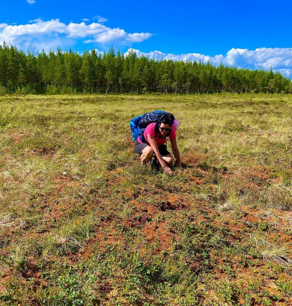 Vandring på historisk grunn gjennom Finnskogen Moltemyr-Else-Husa.jpg
