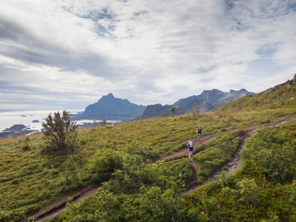 115 deltagere på NM triatlon olympisk distanse i Lofoten Olympisk_løp (1280x959).jpg