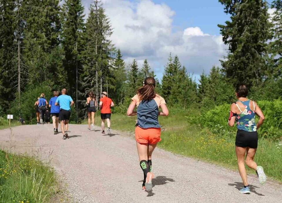 Løyperekord i vakkert halvmaraton i Nordmarka Inn_i_skogen_4S7A3702.jpg