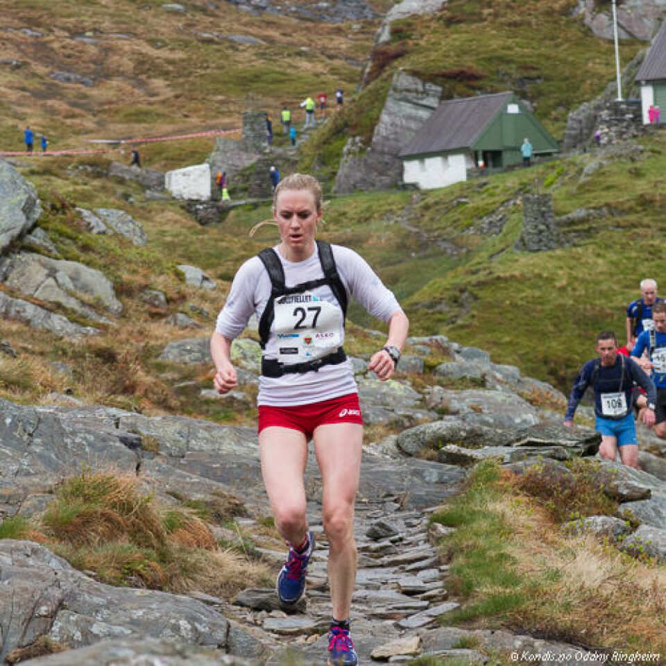 Løyperekorder i Gullfjellet opp