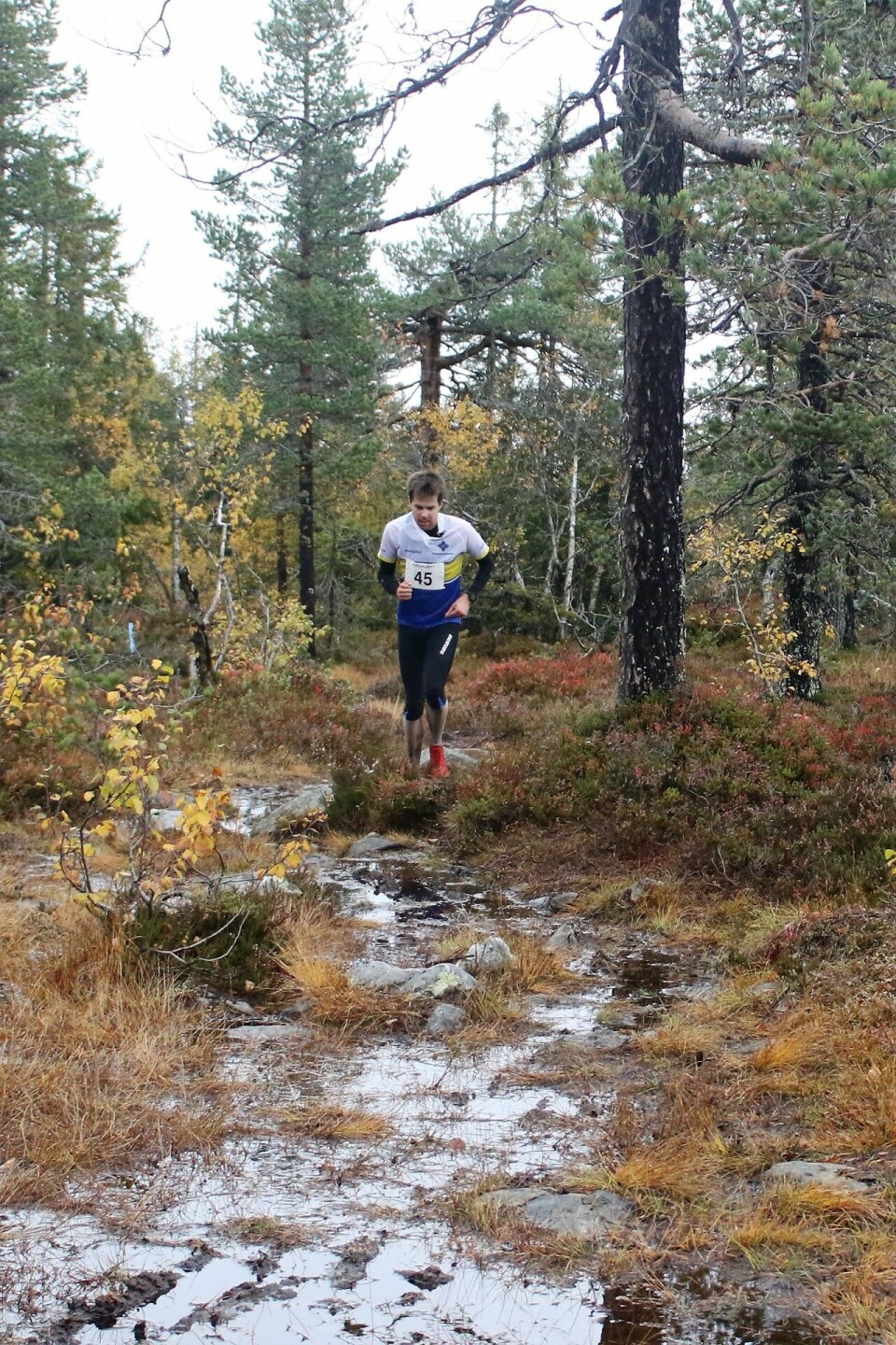 Ny og utvidet Budor Løpefest 31. august Vegard Dalberg.JPG