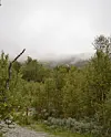 Hummelfjellet_i_taake_320x398