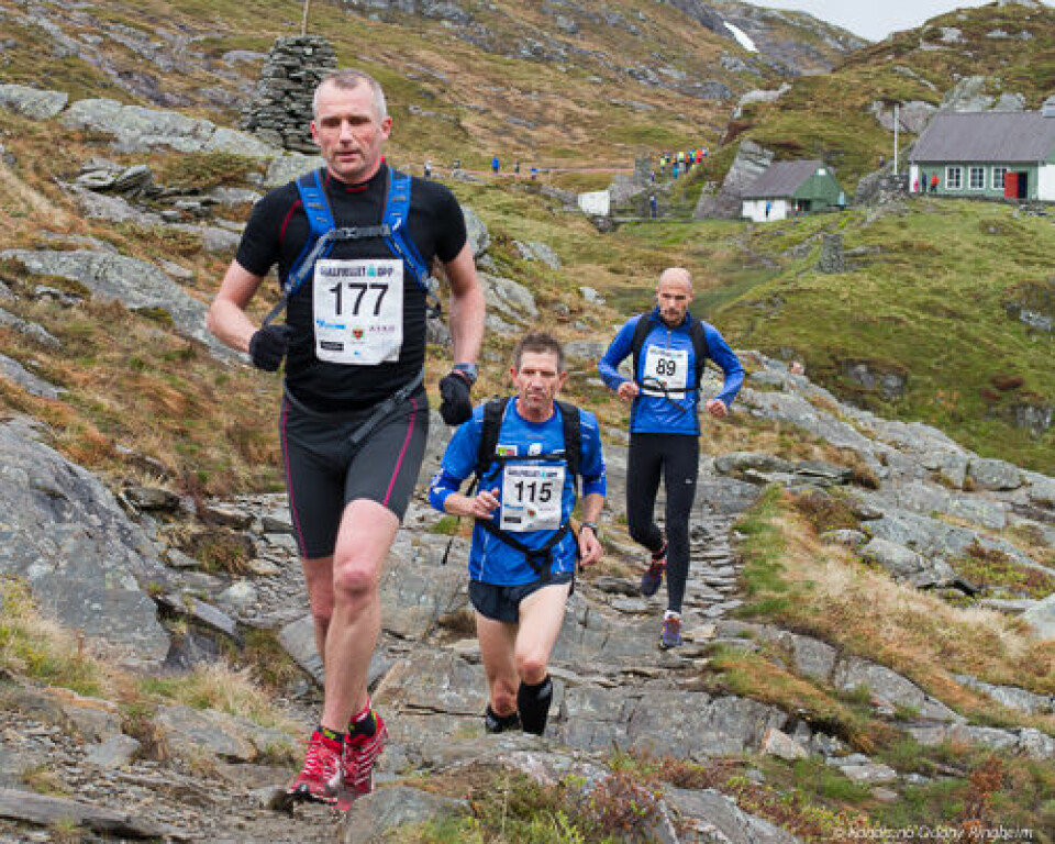 Løyperekorder i Gullfjellet opp
