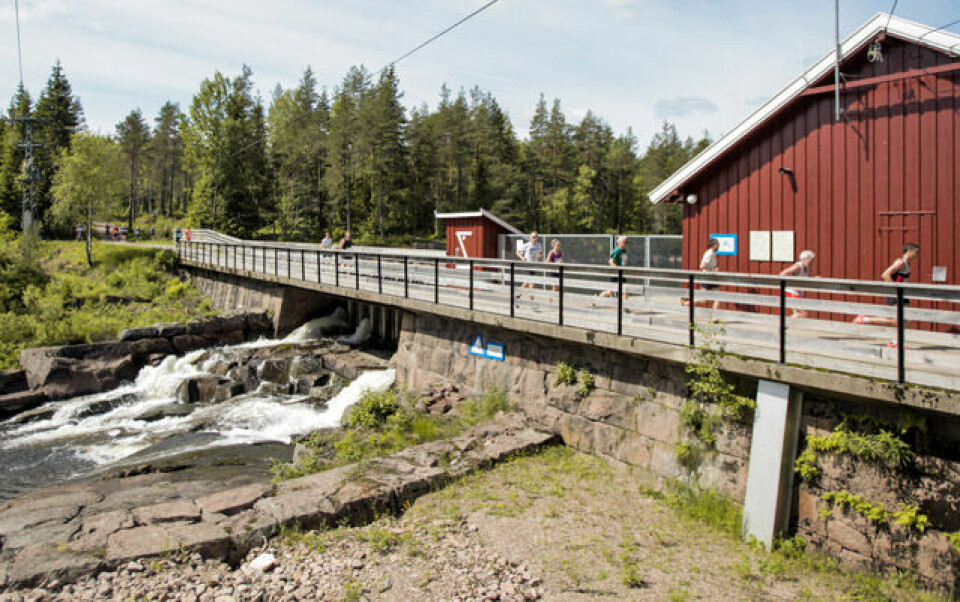 Sletten og Baartvedt vant HOT Nordmarka Skogsmaraton Maraton_Skjaersjoedammen_OMSM_43.jpg