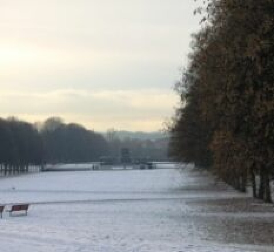 Glatt - glattere - Parksprint ingress